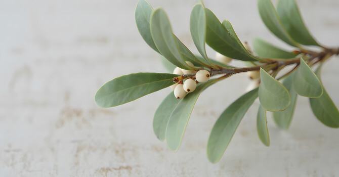  IV Therapy for Oncology