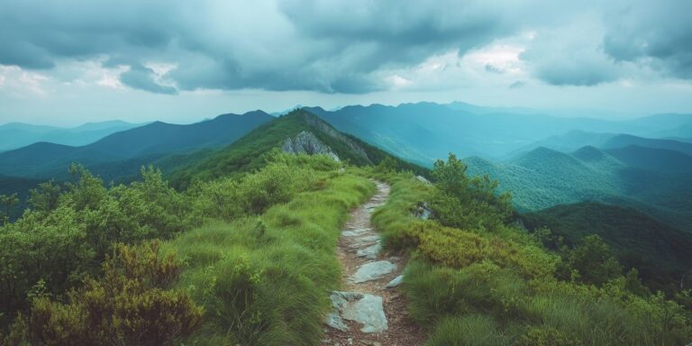 path to wellness